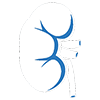 DRSONO Portable Ultrasound Scanner kidney