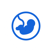 Point of Care Ultrasound Machine image