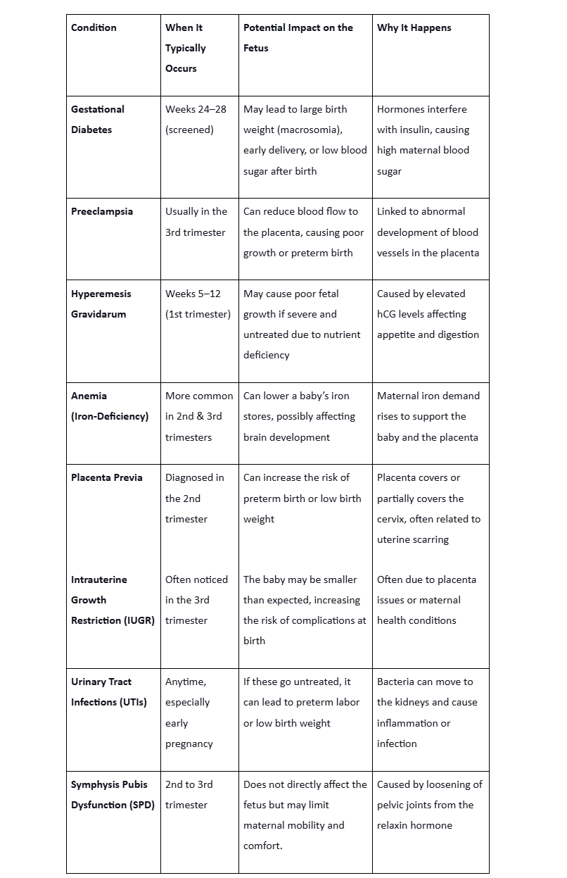 Fötale Krankheiten und Zustände, auf die man achten sollte
