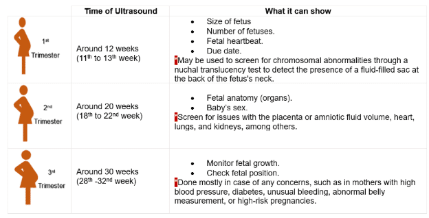 la ecografía fetal puede mostrar distintas fases del embarazo